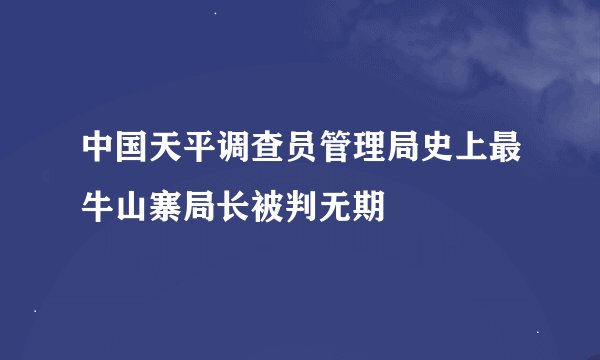 中国天平调查员管理局史上最牛山寨局长被判无期