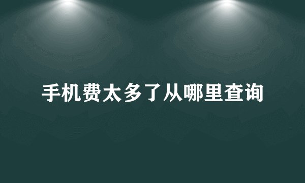 手机费太多了从哪里查询