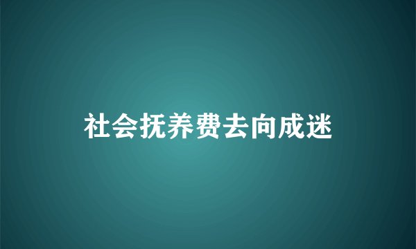 社会抚养费去向成迷