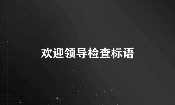 欢迎领导检查标语