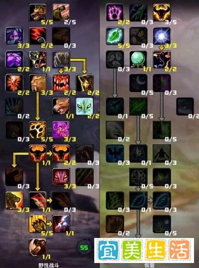 【魔兽世界】T10猫德输出逆袭！狂暴手法+插件助你稳登WCL榜首，HICC阶段DPS必看攻略