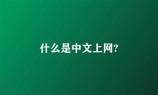 什么是中文上网?