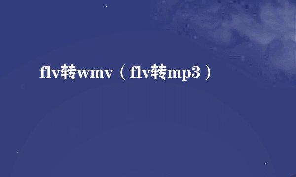 flv转wmv（flv转mp3）