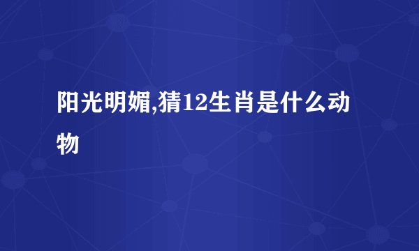 阳光明媚,猜12生肖是什么动物