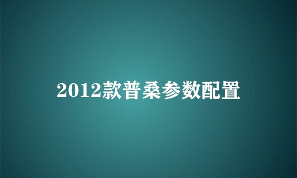 2012款普桑参数配置