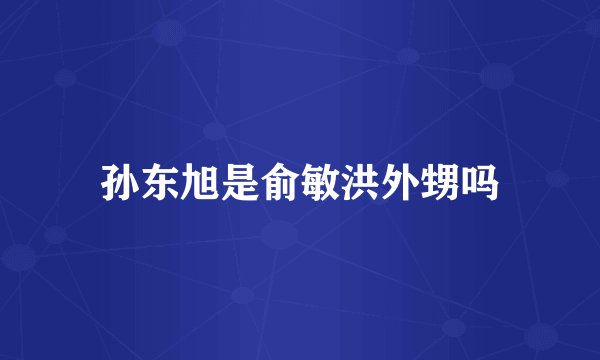 孙东旭是俞敏洪外甥吗