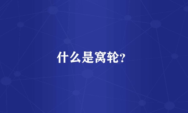 什么是窝轮？