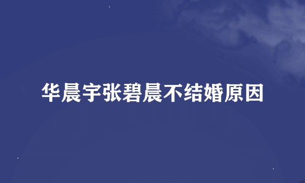 华晨宇张碧晨不结婚原因