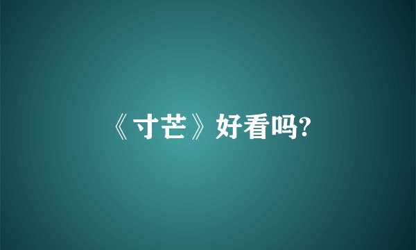 《寸芒》好看吗?