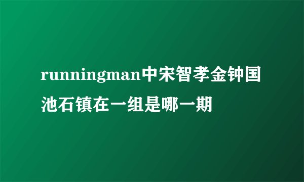 runningman中宋智孝金钟国池石镇在一组是哪一期
