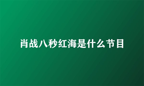 肖战八秒红海是什么节目
