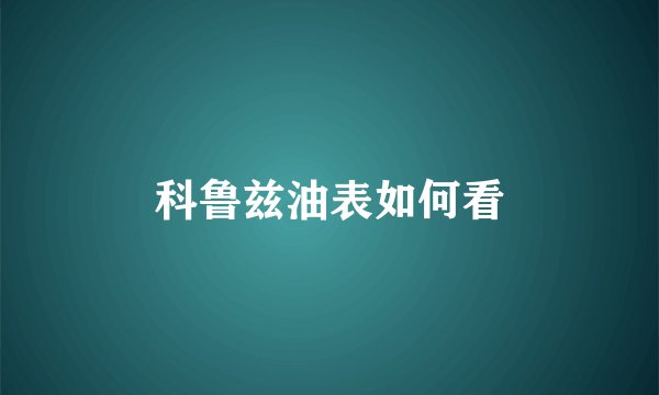 科鲁兹油表如何看