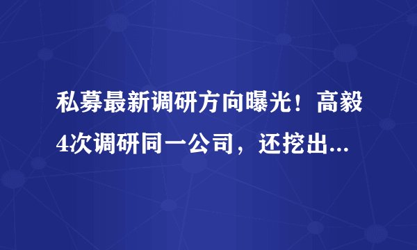 私募最新调研方向曝光!高毅4次调研同一公司,还挖出这些牛股