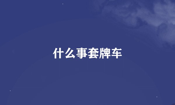 什么事套牌车