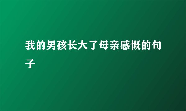 我的男孩长大了母亲感慨的句子