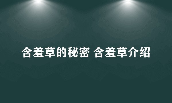 含羞草的秘密 含羞草介绍
