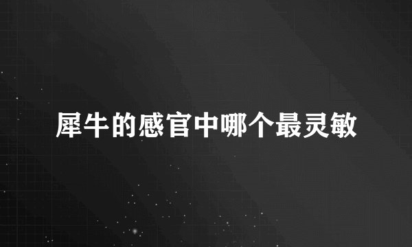 犀牛的感官中哪个最灵敏