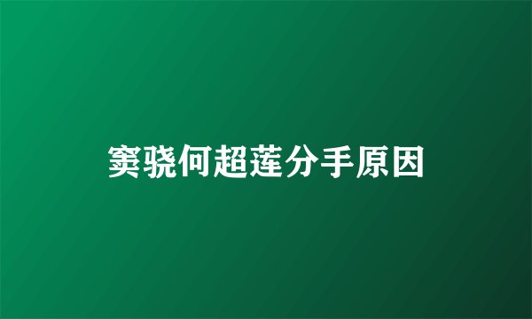 窦骁何超莲分手原因
