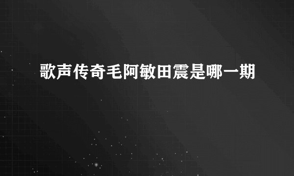 歌声传奇毛阿敏田震是哪一期