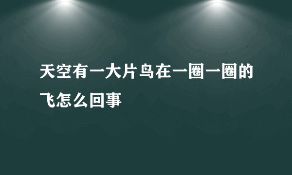 天空有一大片鸟在一圈一圈的飞怎么回事