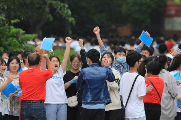 山东高考提交志愿成功是什么样子的？