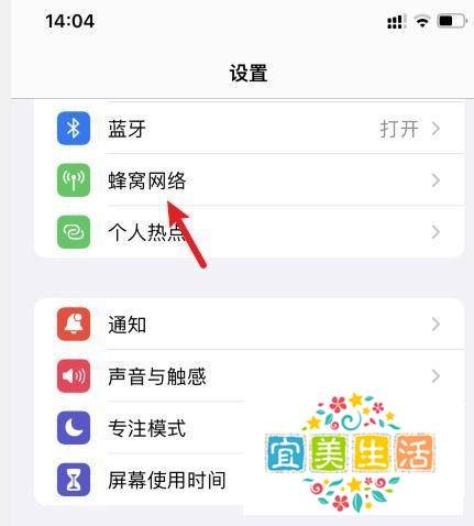 苹果手机的流量开关在哪里