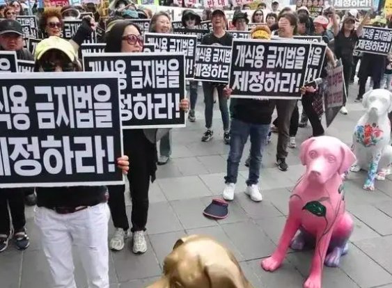 明令禁止吃狗肉的国家有哪些？