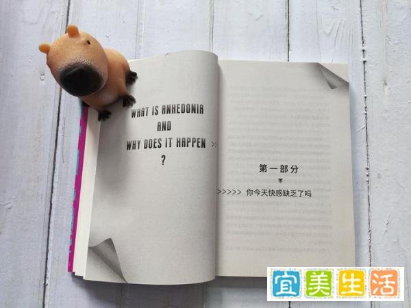 今天你快乐了吗?