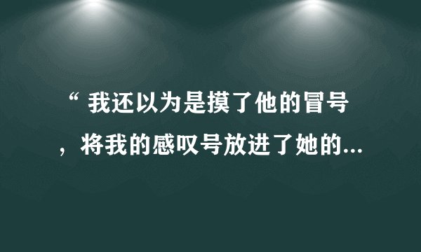 “ 我还以为是摸了他的冒号,将我的感叹号放进了她的括号里,留下一串省略号后的结果 ”这是什么意思?