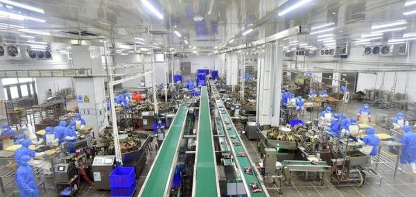 【匠心冀造】河北谷言,国内最大预制菜研发平台
