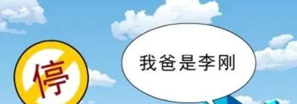 我爸是李刚是什么