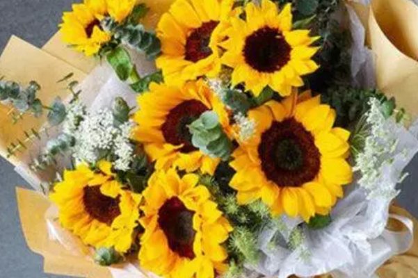 高考完送什么花合适