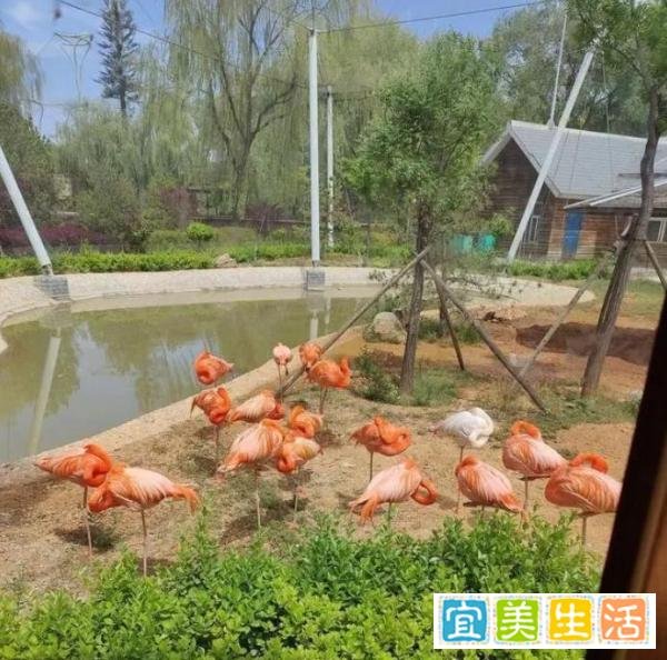 山西午睡文化：不分时间地点物种，你真的了解吗？