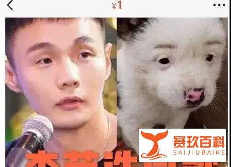 狗狗从1块身价飙到10万,背后的故事...