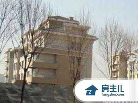 路阳阳的出道经历