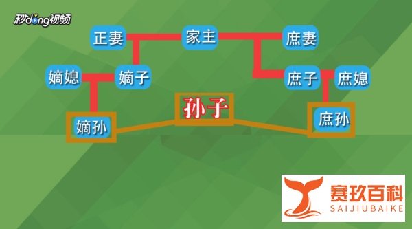 嫡孙和孙子有什么区别