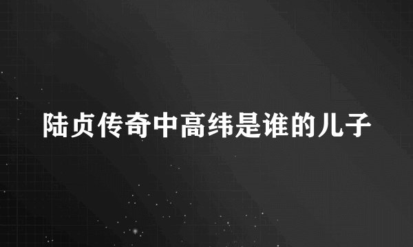 陆贞传奇中高纬是谁的儿子