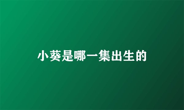 小葵是哪一集出生的