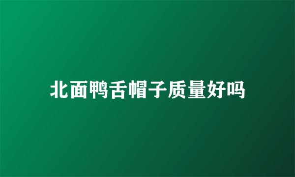 北面鸭舌帽子质量好吗