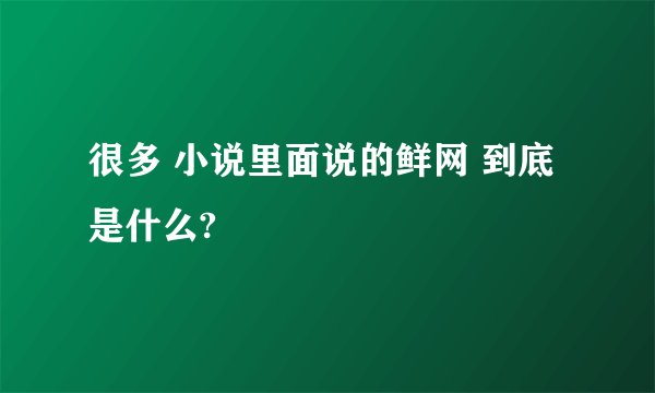 很多 小说里面说的鲜网 到底是什么?