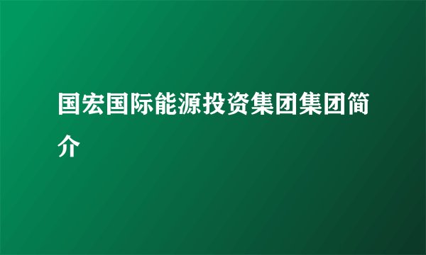 国宏国际能源投资集团集团简介