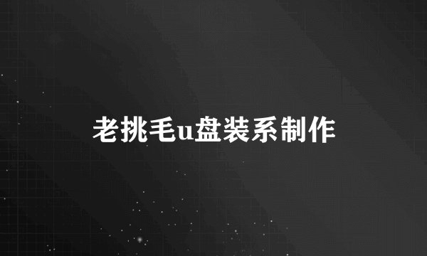 老挑毛u盘装系制作