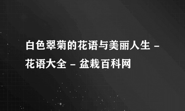 白色翠菊的花语与美丽人生 - 花语大全 - 盆栽百科网