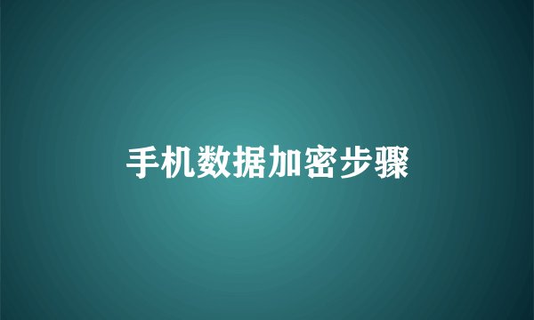 手机数据加密步骤