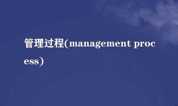 管理过程(management process)