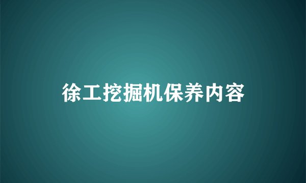 徐工挖掘机保养内容