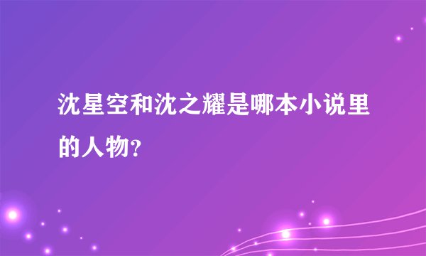 沈星空和沈之耀是哪本小说里的人物？