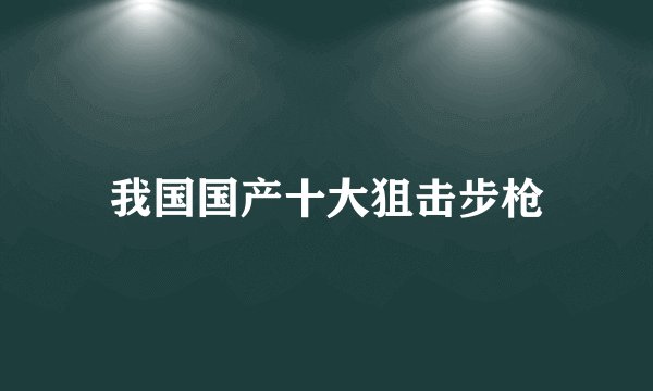 我国国产十大狙击步枪
