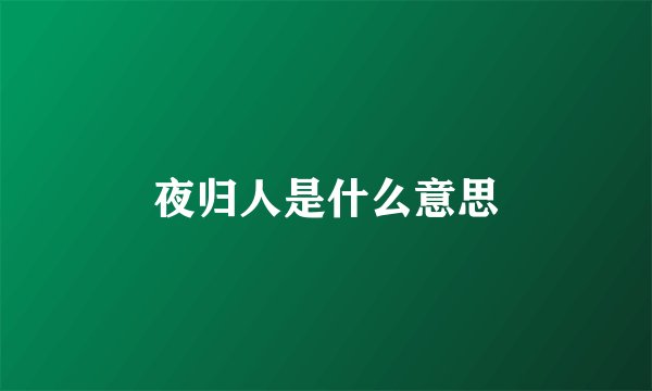 夜归人是什么意思