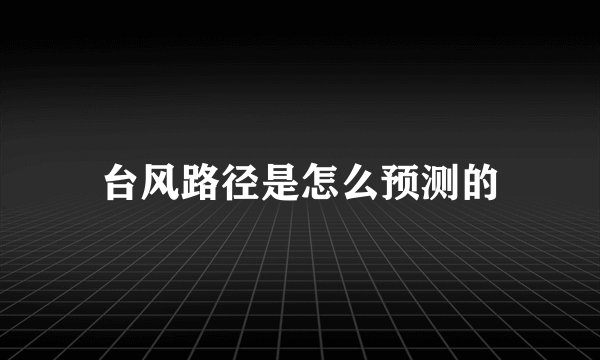 台风路径是怎么预测的